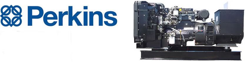 Perkins Generators in Pakistan